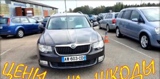 Skoda цена на ноябрь 2020.