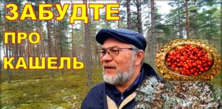 Исландский мох помогает легче перенести ковид.