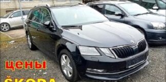 Skoda цены авто из Литвы. skoda-04