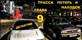 Трасса потерь и находок. (аудиокнига) детектив. Глава 9.
