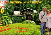 Детектив. Трасса потерь и находок. Глава 40.