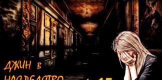 Детектив. Джин в наследство. (аудиокнига) глава 15.