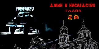 Детектив. Джин в наследство. (аудиокнига) глава 28.