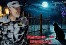 Подкидыш от пришельца. 14-я глава. (Аудио) подкидыш
